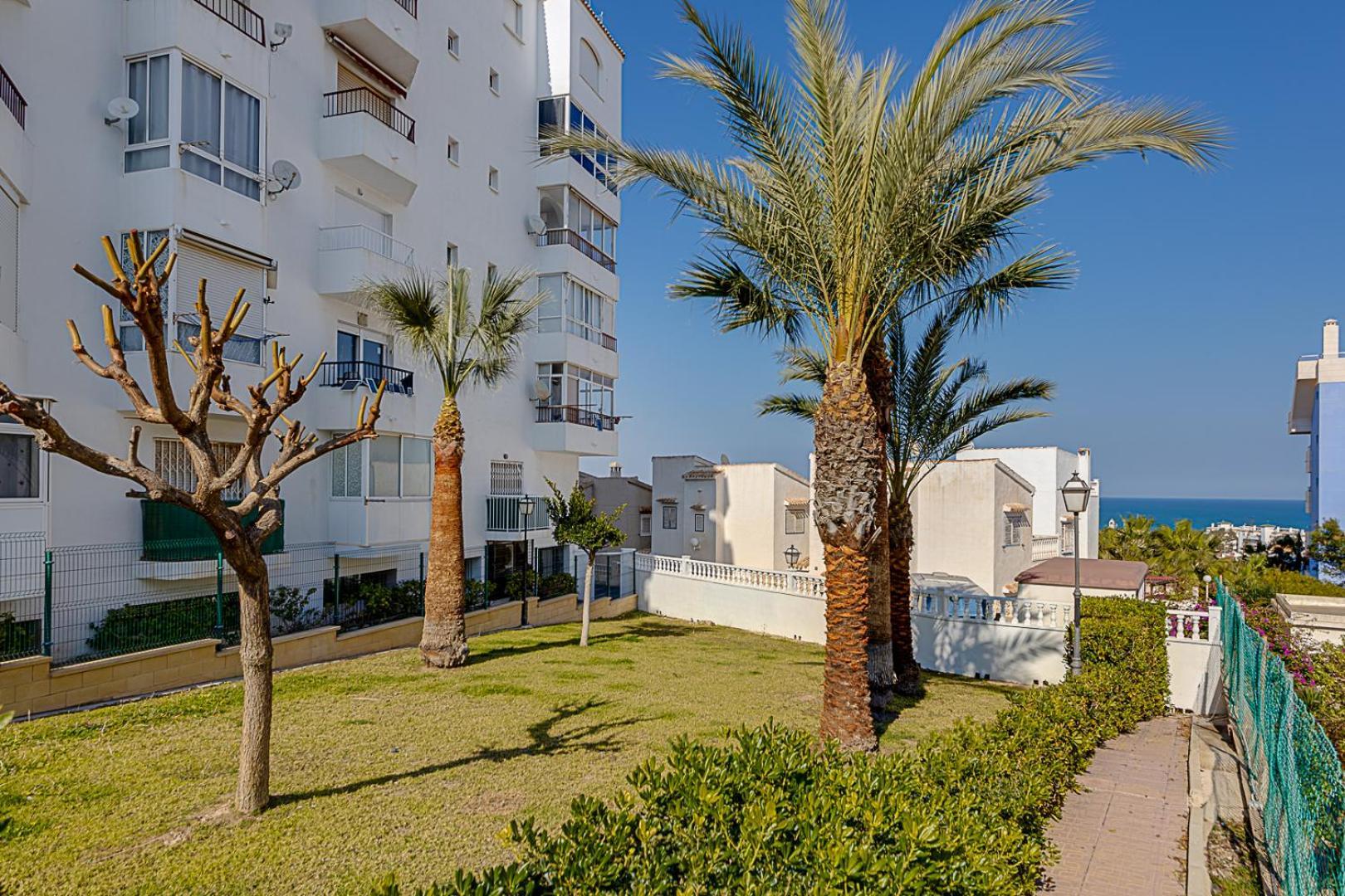 Estudio Jardin Del Mar Torrevieja Exteriér fotografie